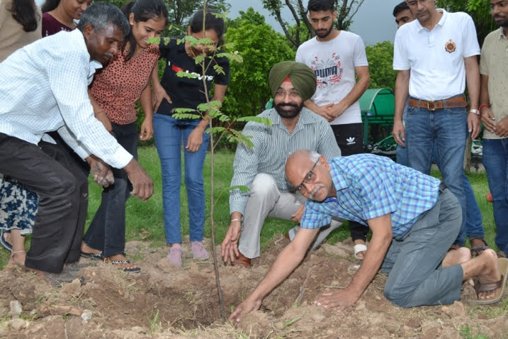 Plantation drive under the theme of "LiFE" (#AzadikaAmritMahotsav)