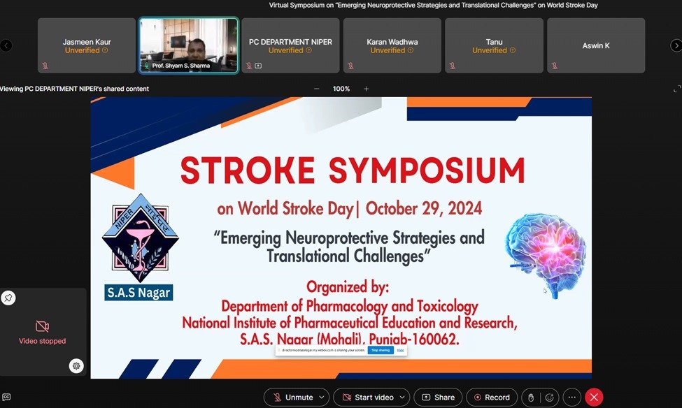Challenges” on World Stroke Day (October 29, 2024)