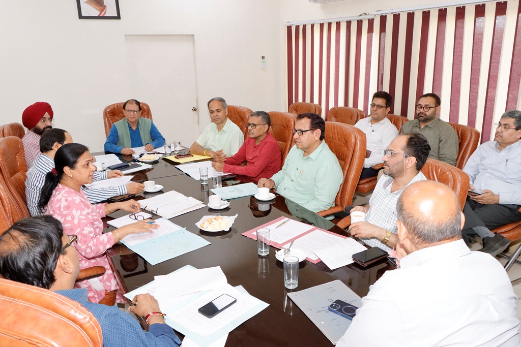 राजभाषा कार्यान्वयन समिति की बैठक (28-03-2025)